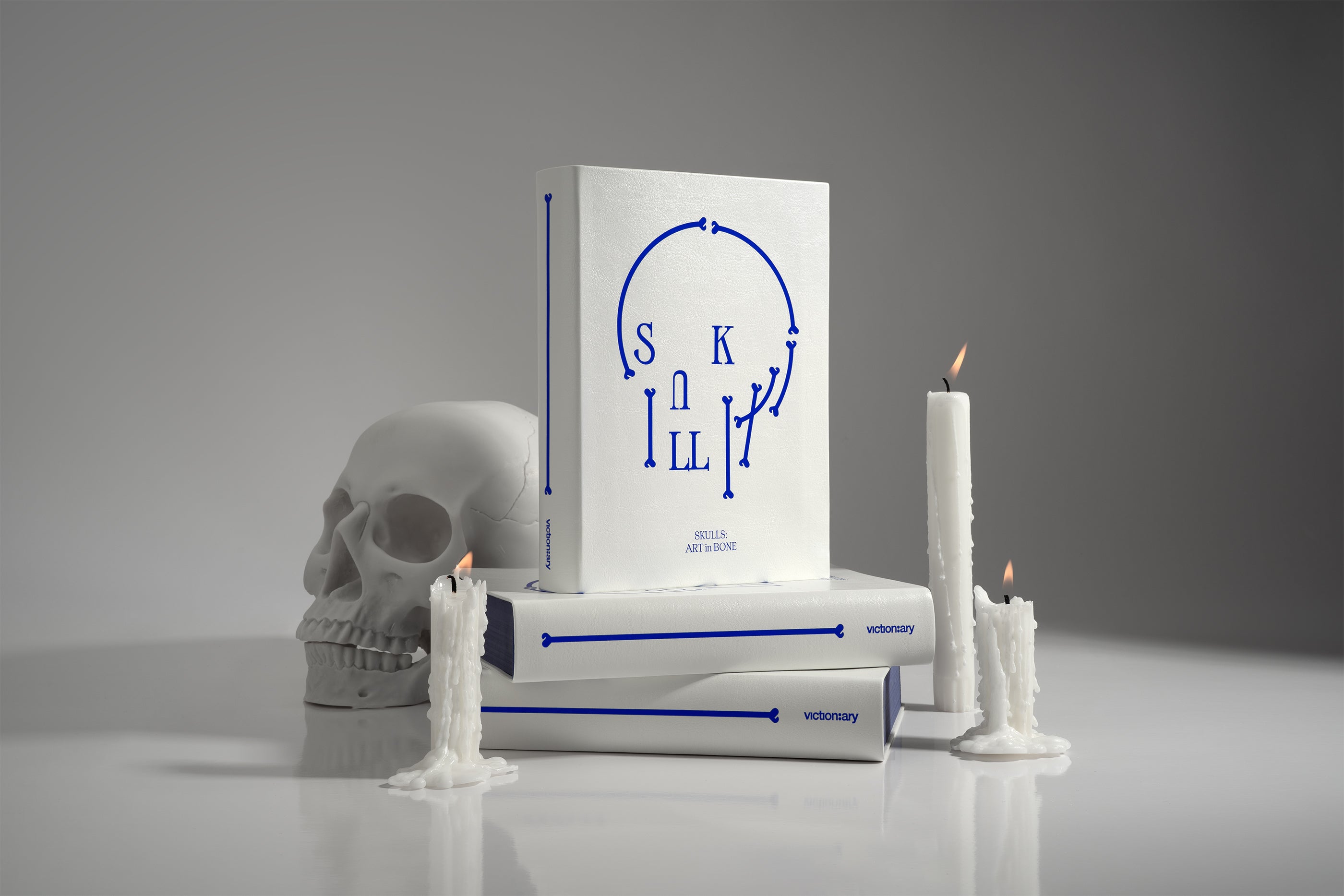 【新品】SKULLS / Victionary スカル 頭蓋骨 SKULLS: Art in Bone – viction:ary