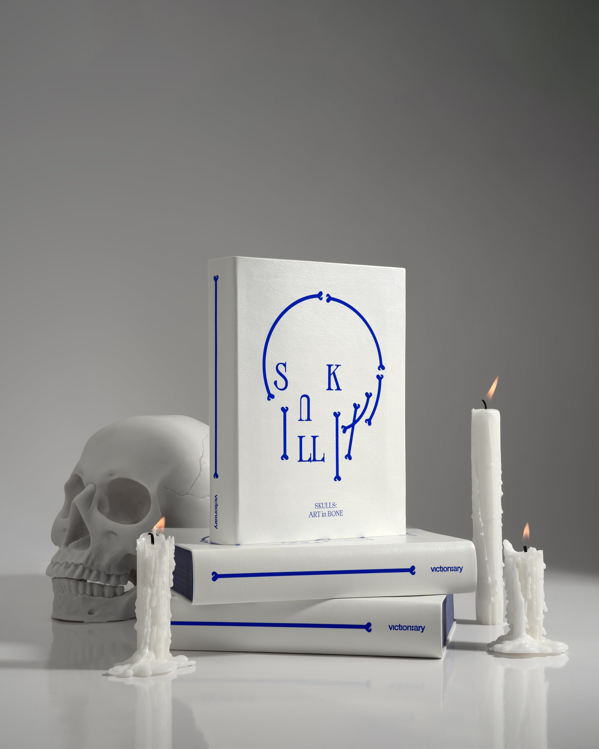 SKULLS: Art in Bone – viction:ary