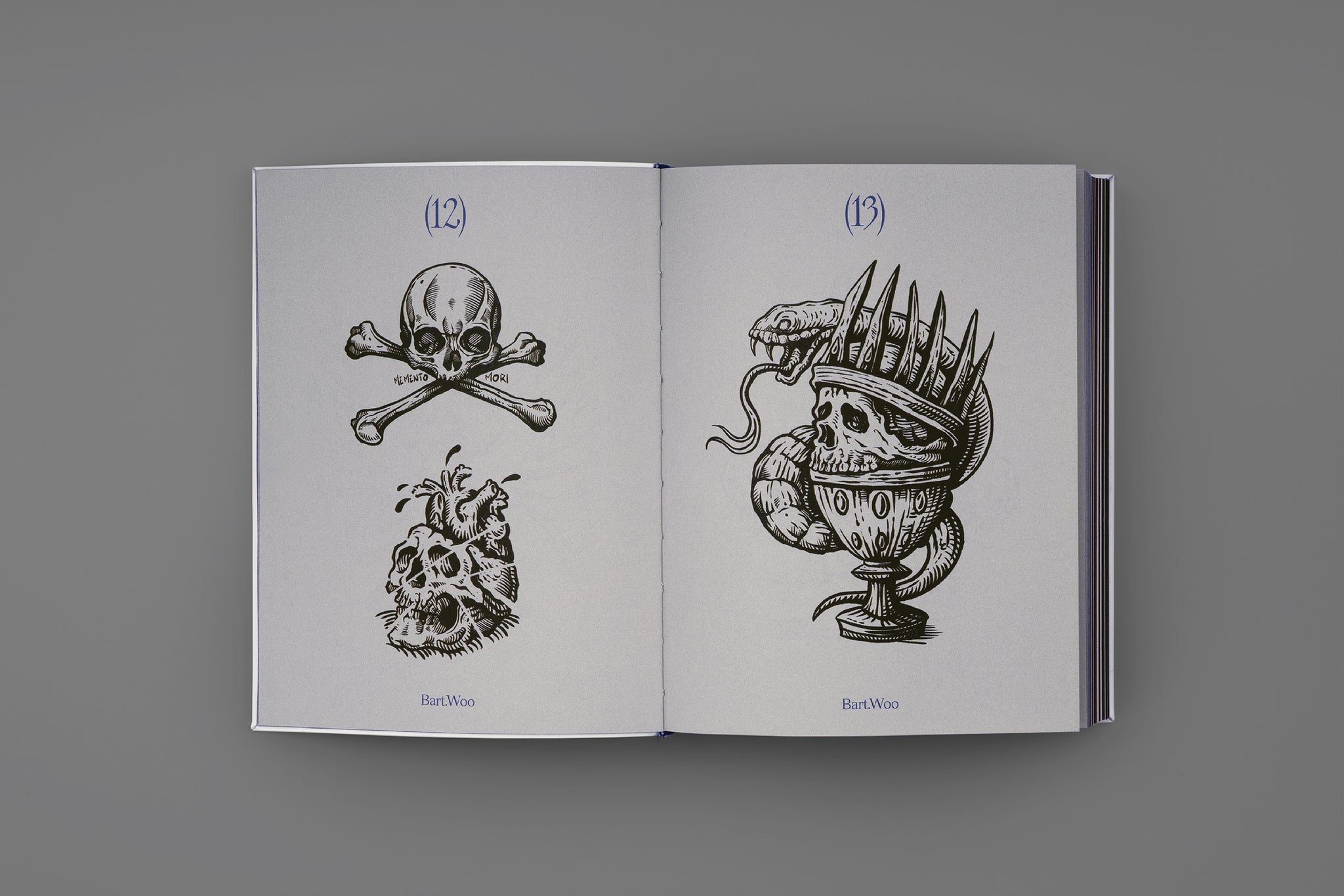 SKULLS: Art in Bone – viction:ary