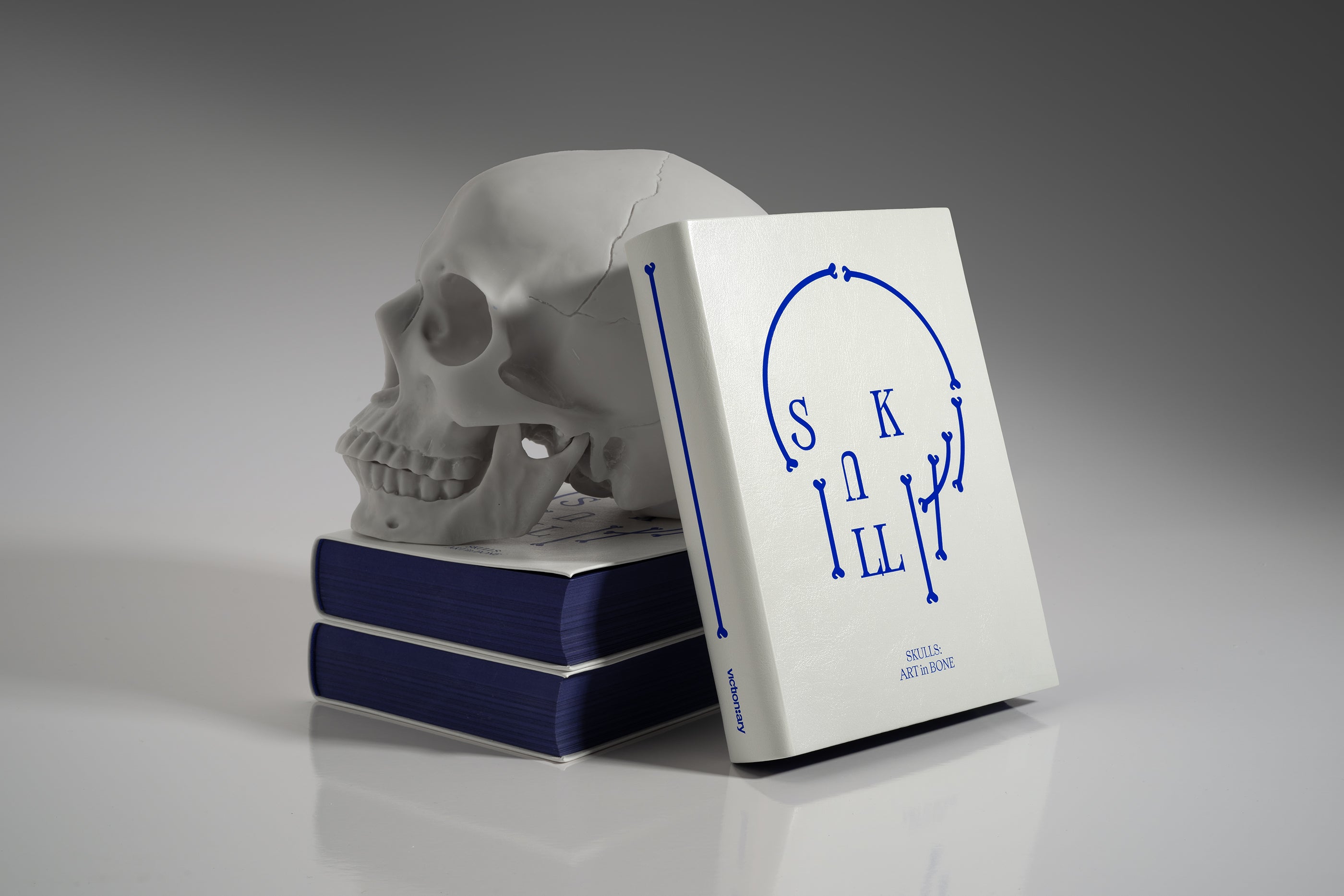 【新品】SKULLS : Art in Bone Victionary スカル SKULLS: Art in Bone – viction:ary