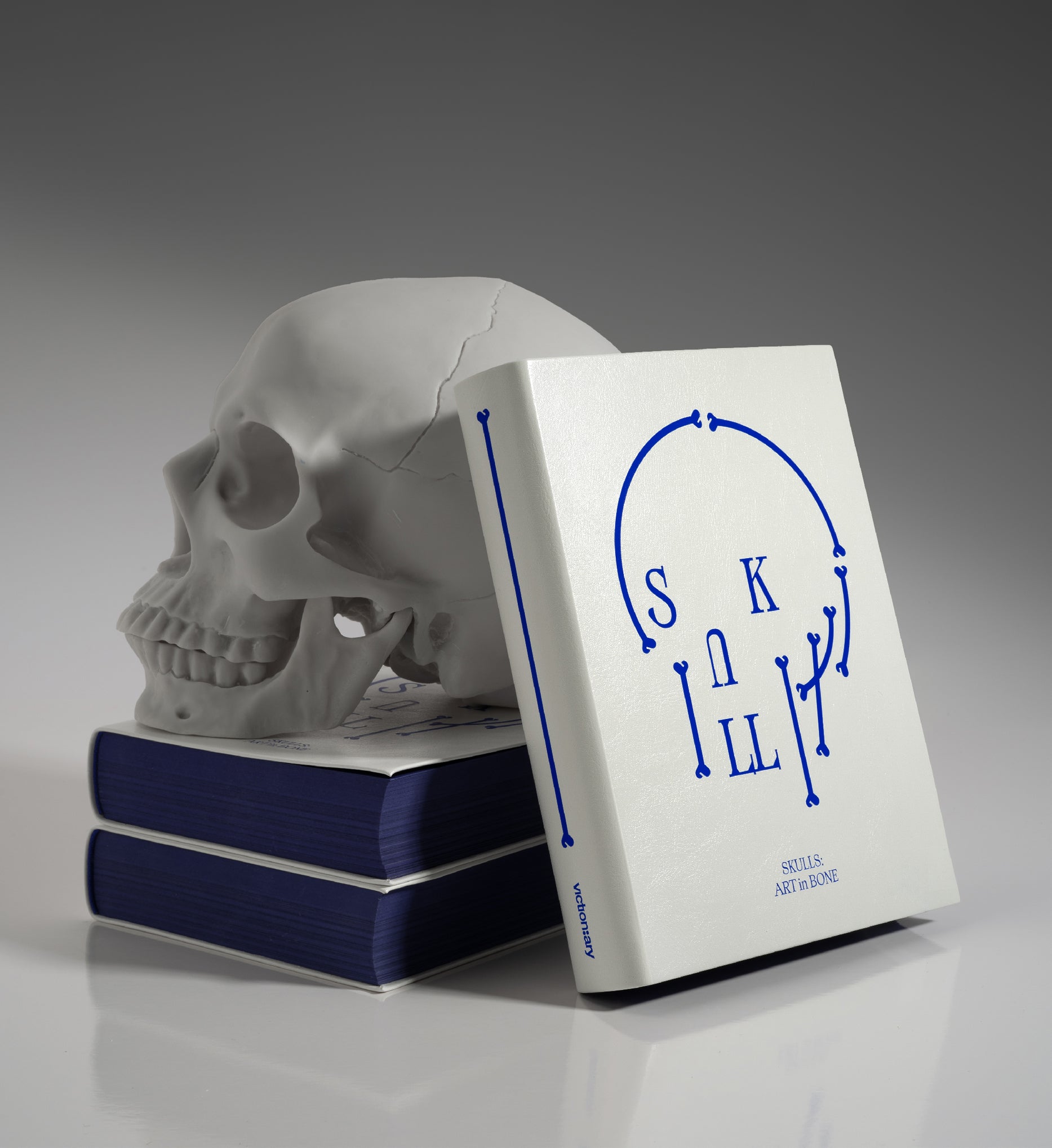 SKULLS: Art in Bone – viction:ary