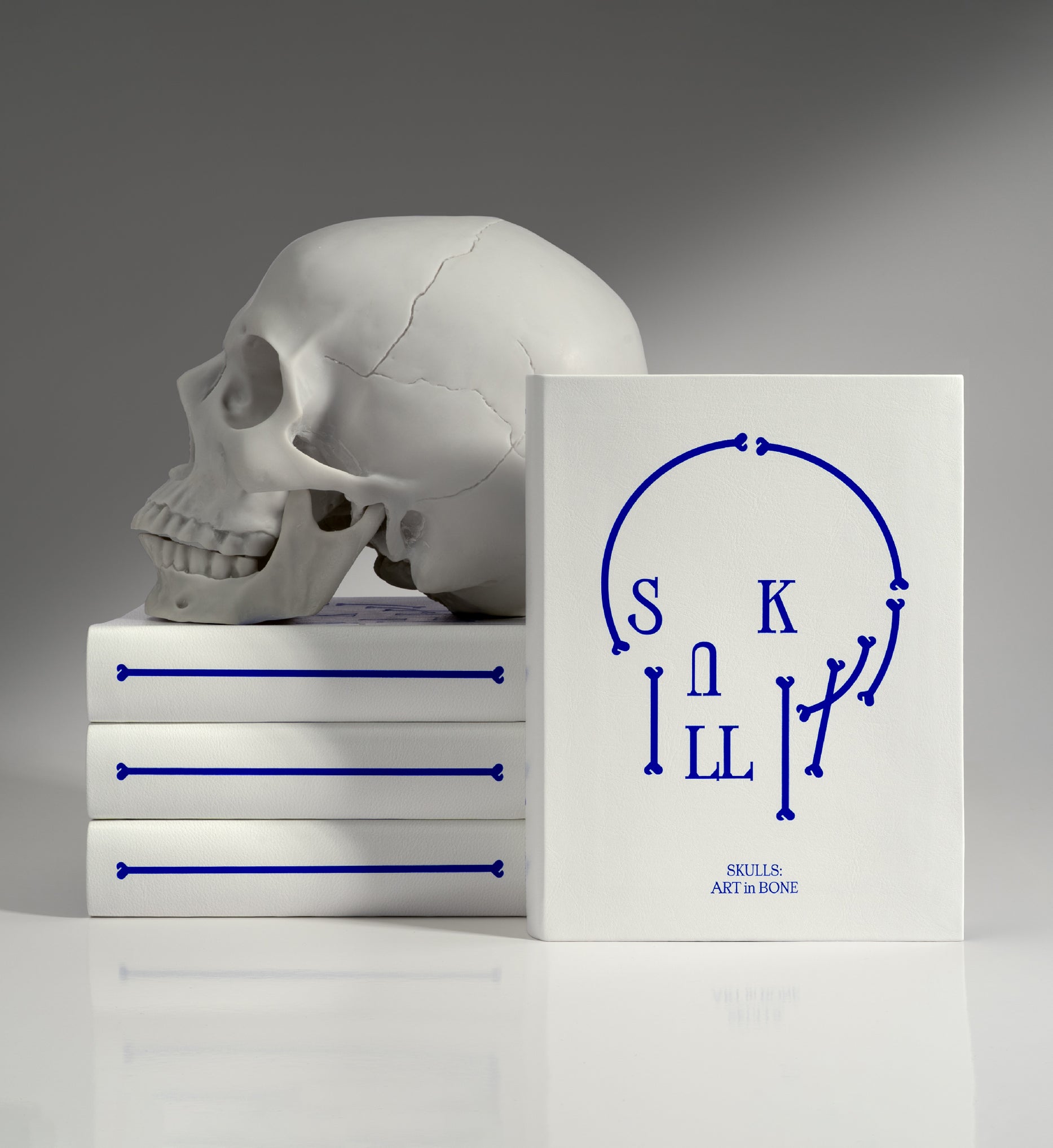 Skull on book アクリル原画 Skull on book アクリル原画