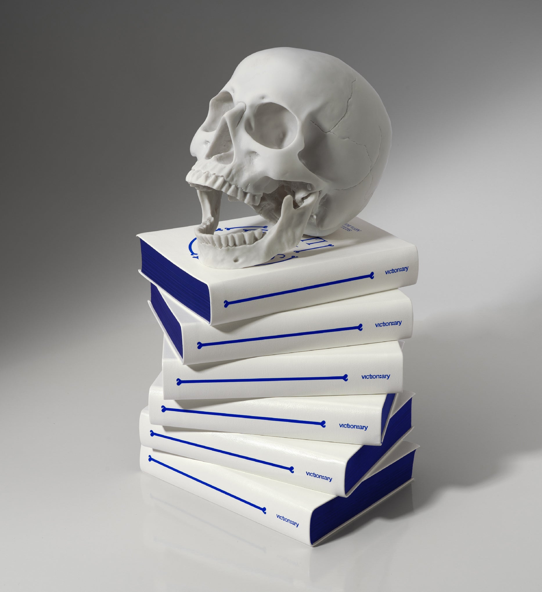 SKULLS: Art in Bone – viction:ary