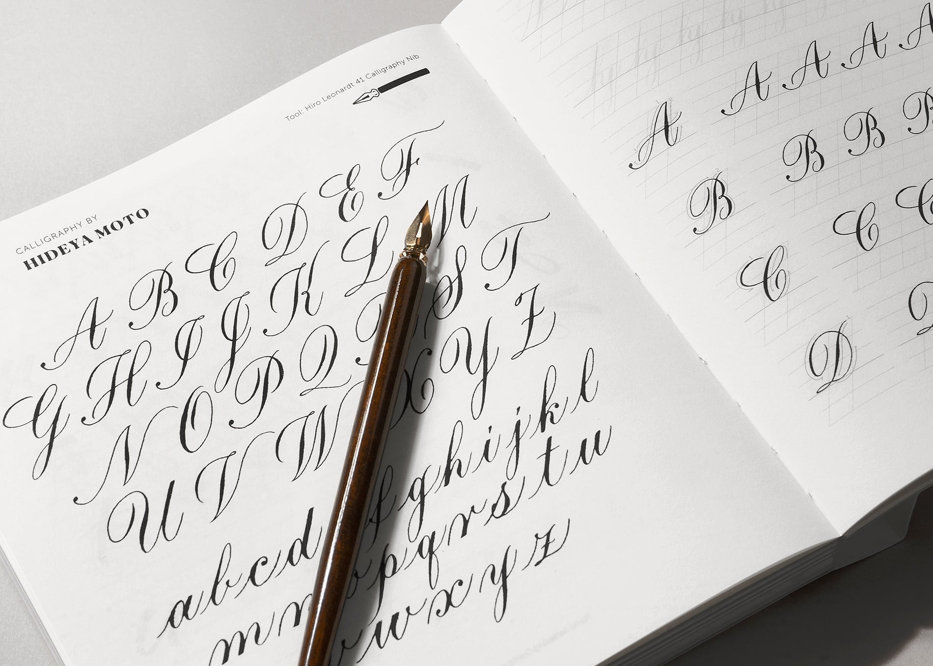 Young Lettering Handstyle Lettering: 20th Anniversary Edition – viction:ary