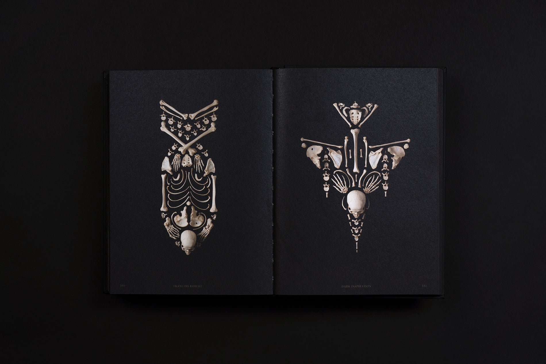 Dark Inspiration: 20th Anniversary Edition – viction:ary