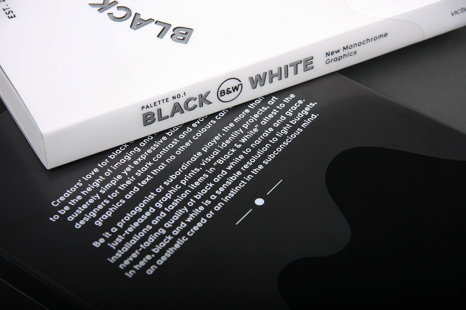 PALETTE 01: Black & White